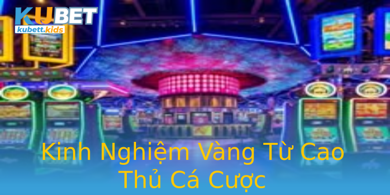 Kinh Nghiệm Vàng Từ Cao Thủ Cá Cược Kinh Nghiệm Vàng Từ Cao Thủ Cá Cược