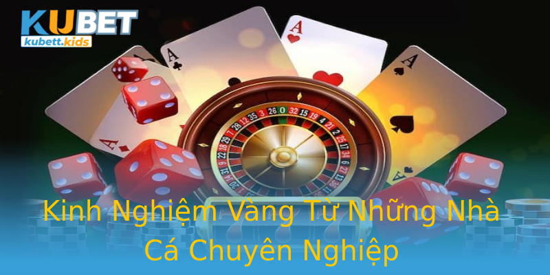 Kinh Nghiệm Vàng Từ Những Nhà Cá Chuyên Nghiệp Kinh Nghiệm Vàng Từ Những Nhà Cá Chuyên Nghiệp